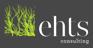EHTS CONSULTING